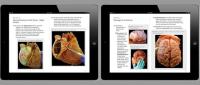 Two tablet screens displaying digital pages of a gross anatomy textbook, featuring detailed images of the human heart and brain.